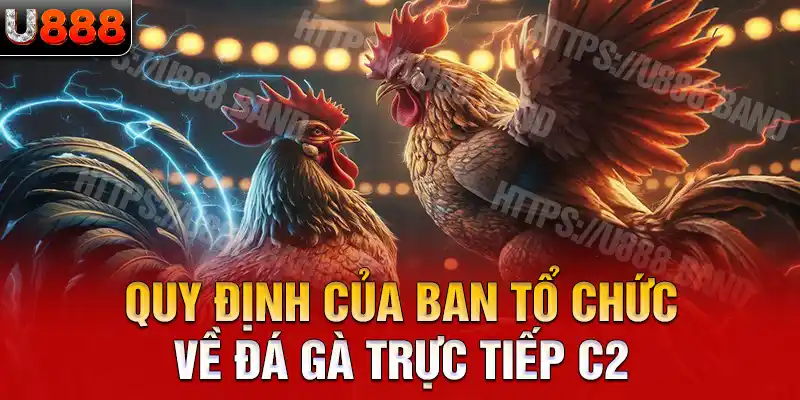 Quy định của ban tổ chức về đá gà trực tiếp C2