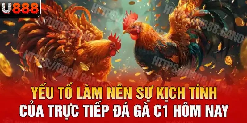 Yếu tố làm nên sự kịch tính của trực tiếp đá gà c1 hôm nay