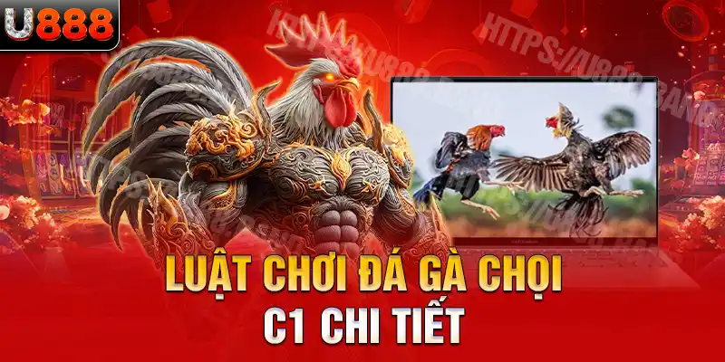 Luật chơi đá gà chọi C1 chi tiết